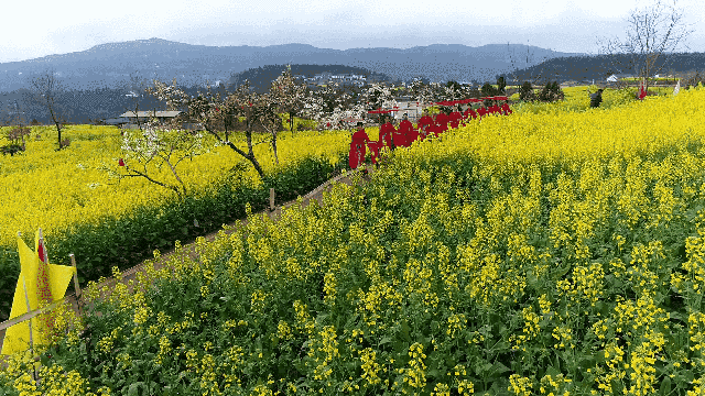寰俊鍥剧墖_20210611210854.gif