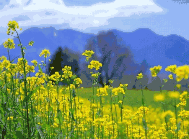 寰俊鍥剧墖_20210611211955.gif
