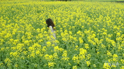寰俊鍥剧墖_20210611212453.gif